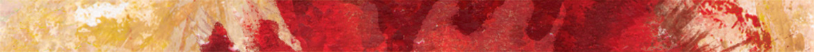 DS_banner_red